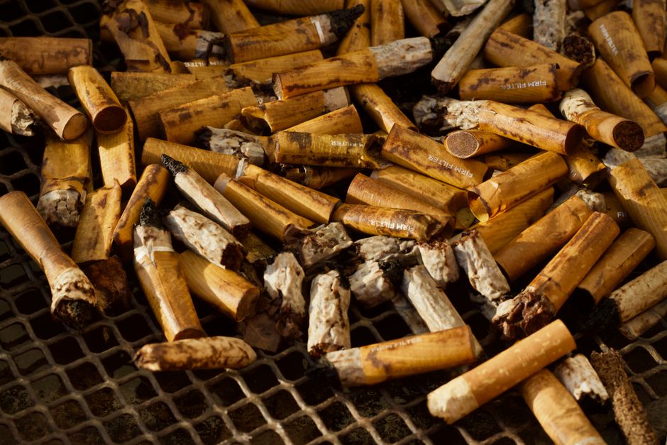 Close-up image of numerous cigarette butts scattered across a black grated surface. The butts are made of light brown filter material with some showing burn marks, white tobacco residue at the tips, and varying degrees of charring. The filters display printed white branding and text that appears partially worn or smudged. The scene is evenly lit, highlighting the textures of the cigarette ends and the contrast between the filters and the dark background. The surrounding environment is not visible, but the collection of butts suggests a site of informal waste disposal, possibly linked to local rubbish collection or non-standard disposal methods that waste clearance companies like Rubbish Clearance Kensington might handle as part of their rubbish removal services. This image emphasizes the importance of proper waste disposal and environmental cleanliness, aligning with the topic of rubbish compliance and fly-tipping prevention in Kensington.